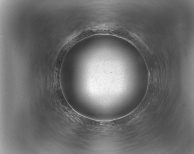 X0000061111350200511181119
