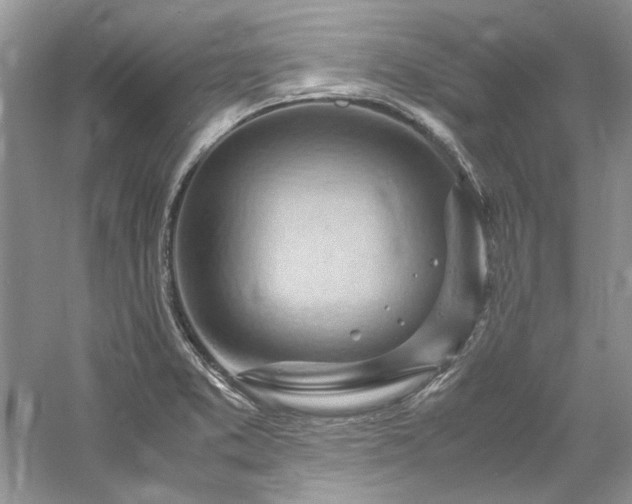 X0000061111373200511181118