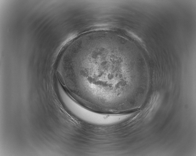 X0000061111411200511181118