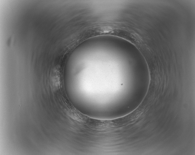 X0000061111442200511181117
