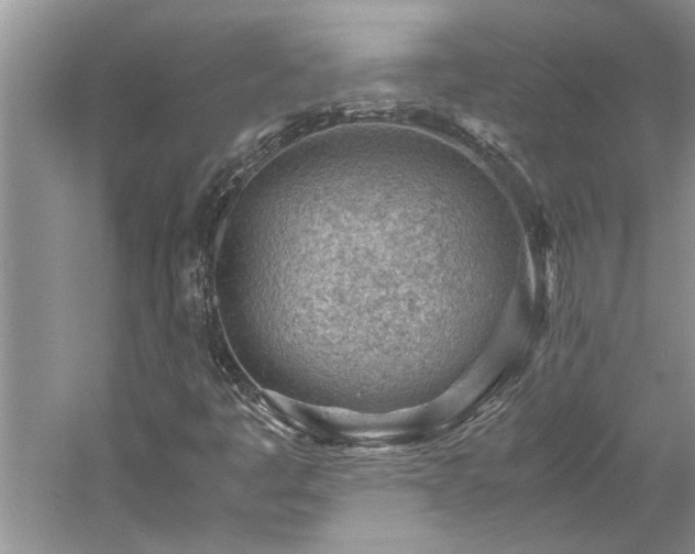 X0000061111445200511181117