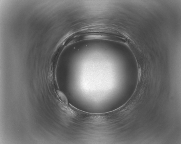 X0000061111450200511181117