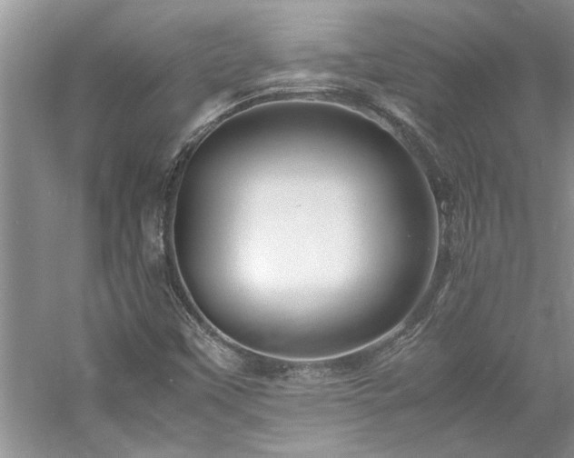 X0000061111451200511181117