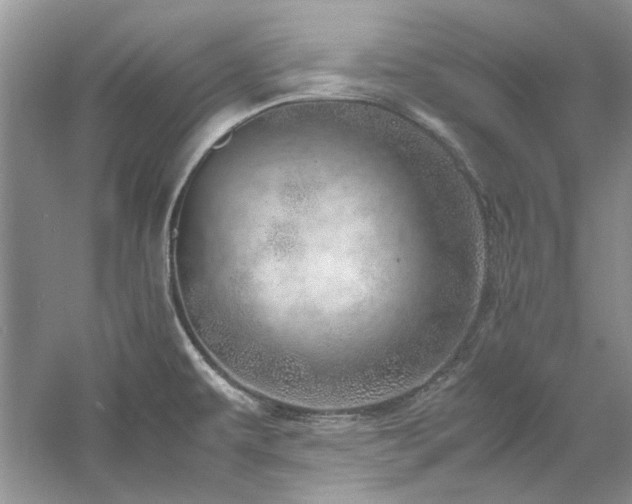 X0000061111479200511181117