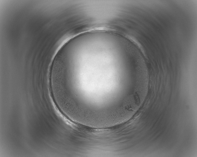 X0000061111483200511181116
