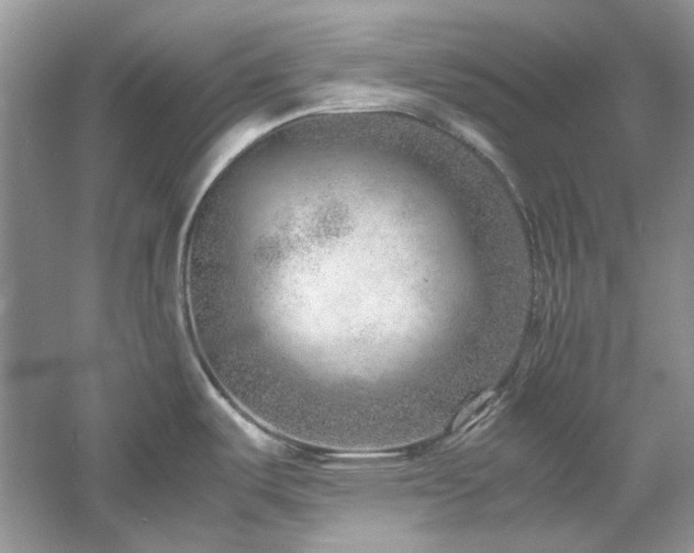 X0000061111487200511181116