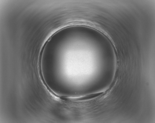 X0000061111533200511181116