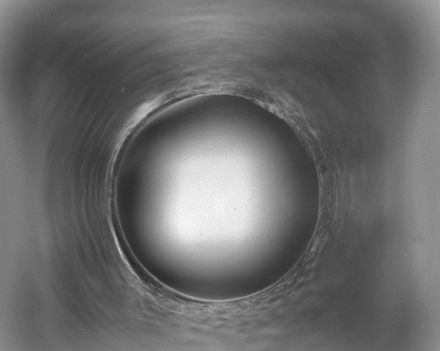 X0000061110003200511210946