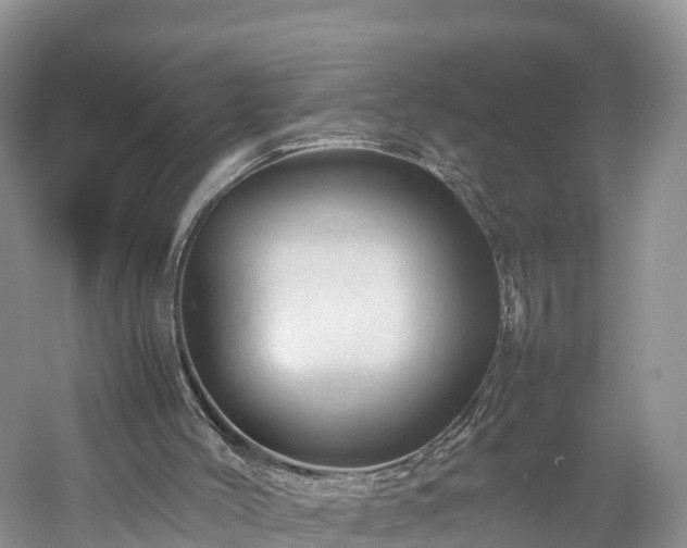 X0000061110004200511210946