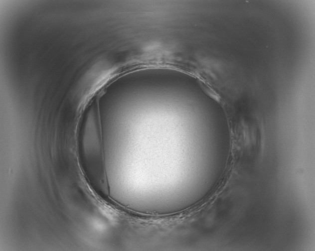 X0000061110005200511210946