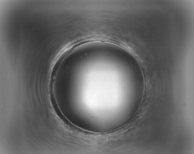 X0000061110007200511210946