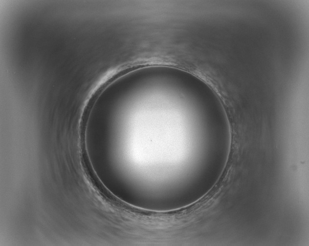 X0000061110008200511210946