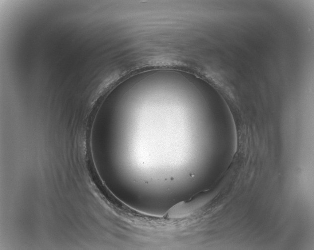 X0000061110015200511210946
