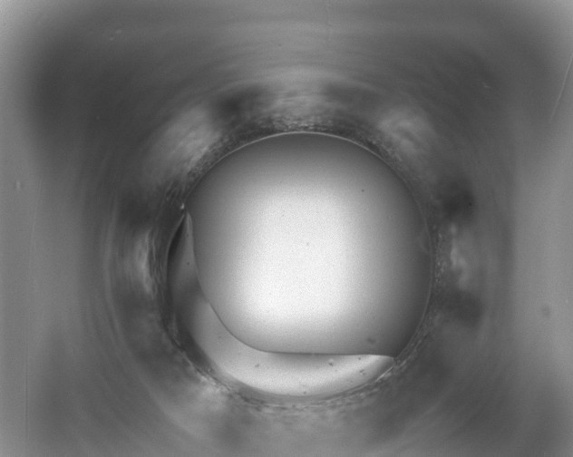 X0000061110025200511210946