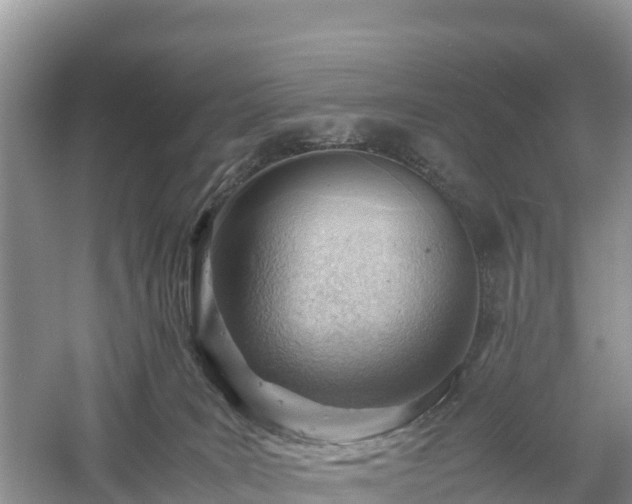 X0000061110035200511210946