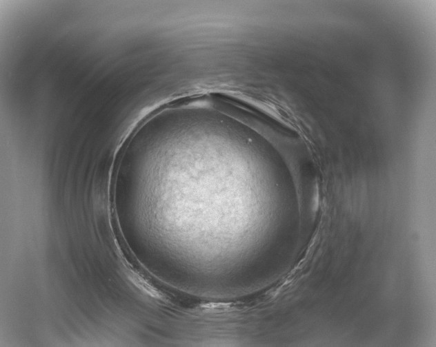X0000061110052200511210945