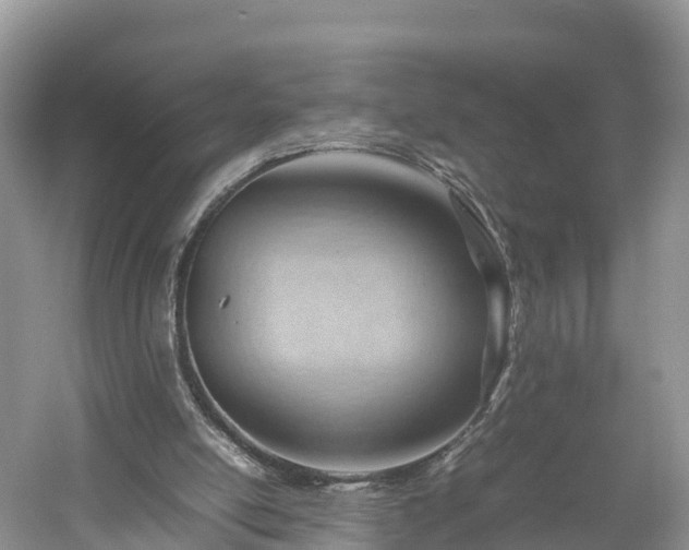 X0000061110054200511210945