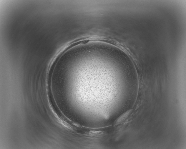 X0000061110055200511210945