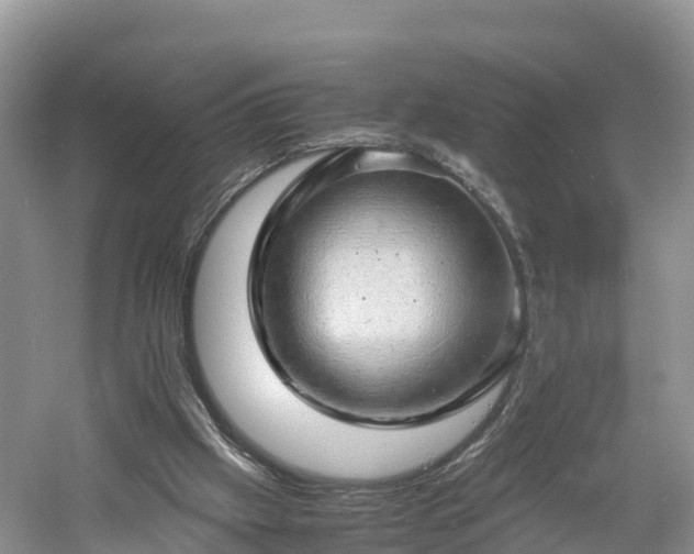 X0000061110057200511210945