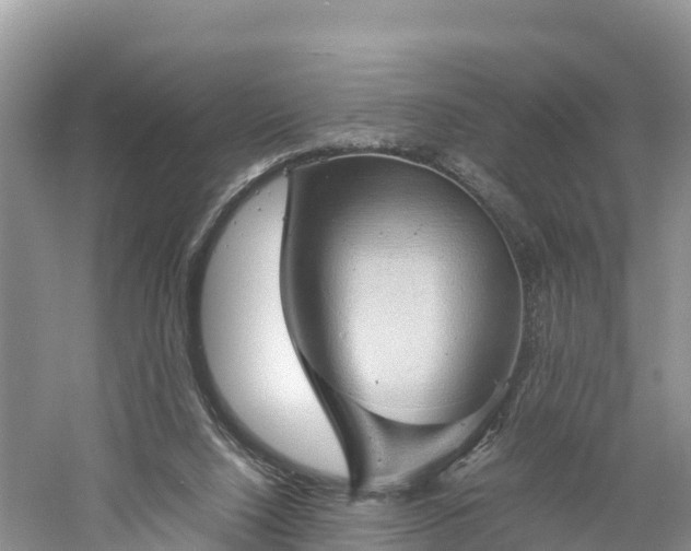 X0000061110064200511210945