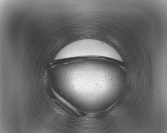 X0000061110077200511210945
