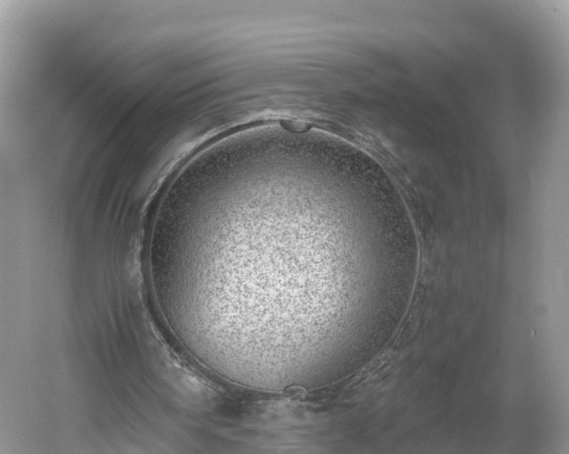 X0000061110098200511210945