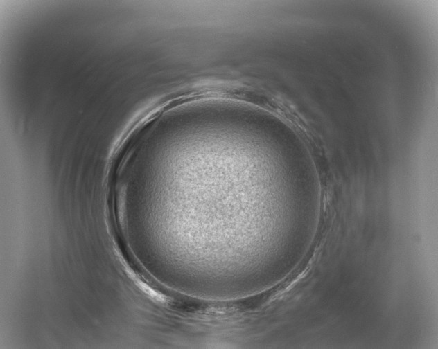 X0000061110101200511210945