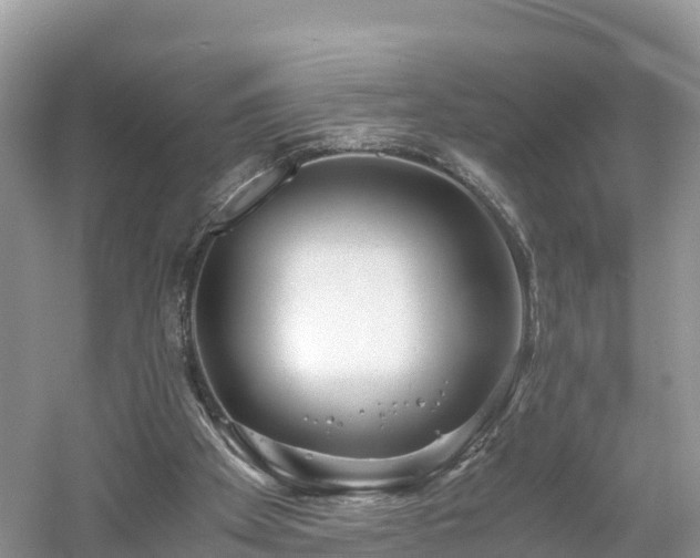 X0000061110105200511210944