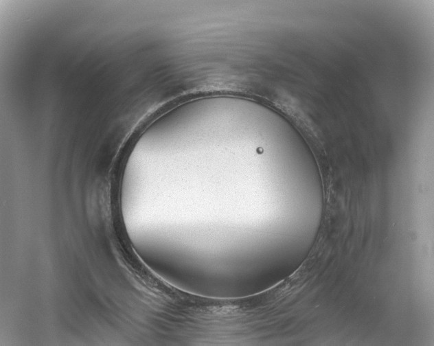 X0000061110108200511210944