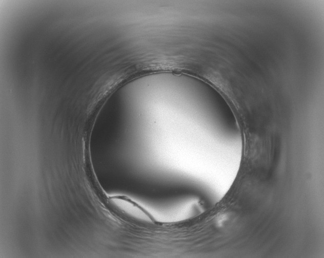 X0000061110109200511210944