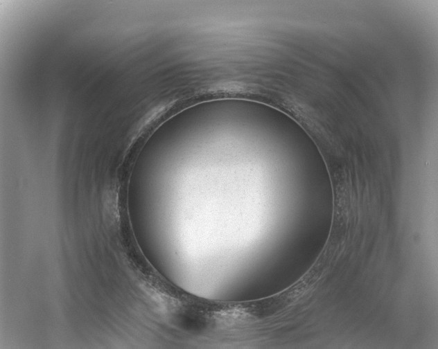 X0000061110112200511210944