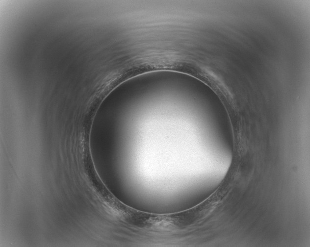X0000061110113200511210944