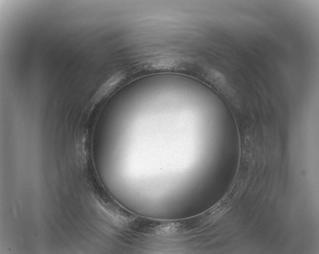 X0000061110116200511210944