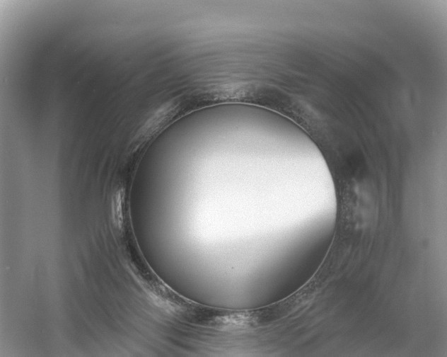 X0000061110118200511210944