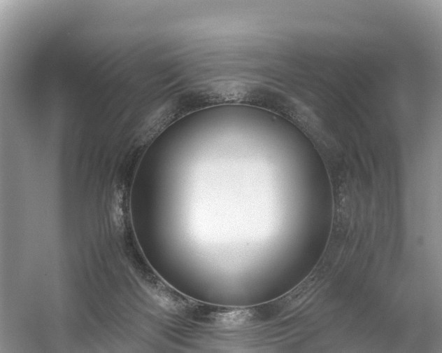 X0000061110122200511210944