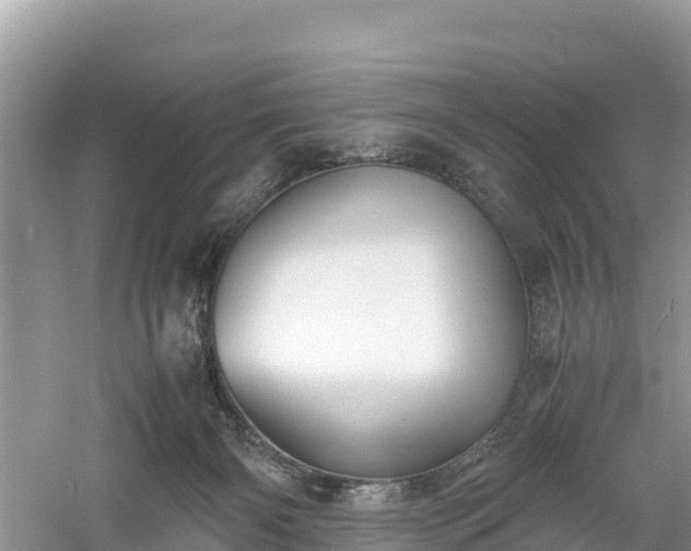 X0000061110126200511210944