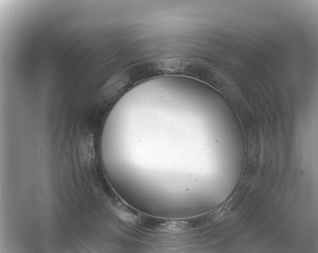X0000061110128200511210944