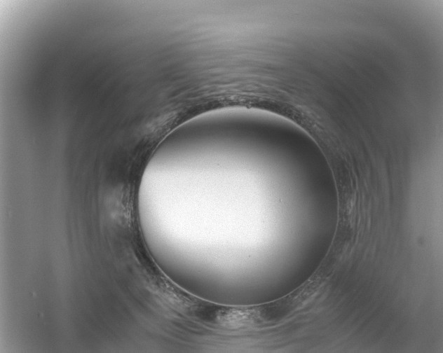 X0000061110129200511210944