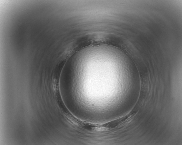 X0000061110135200511210944
