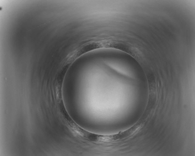 X0000061110139200511210944