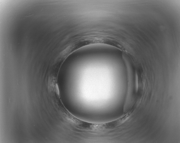 X0000061110141200511210944