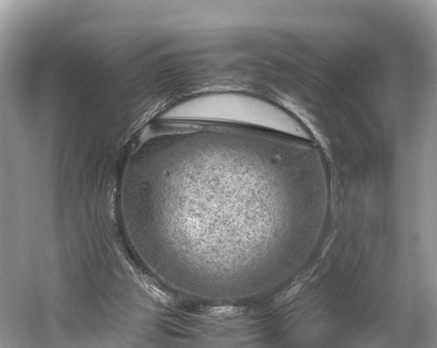 X0000061110153200511210943