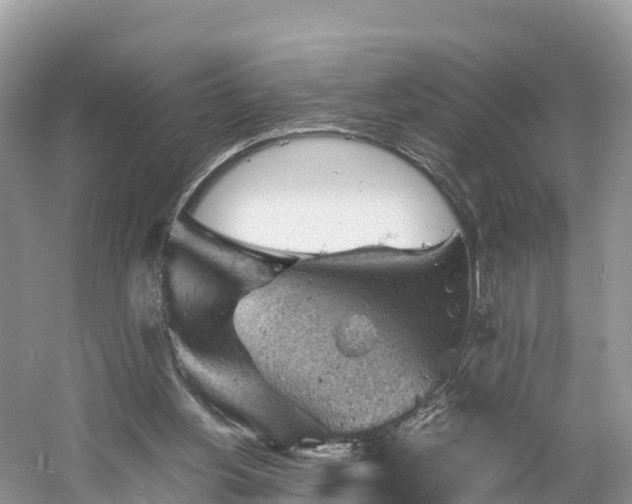 X0000061110156200511210943
