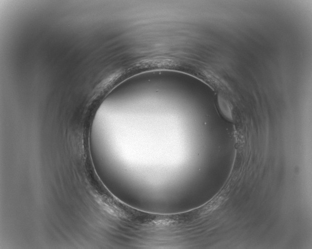 X0000061110158200511210943