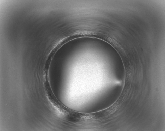 X0000061110160200511210943