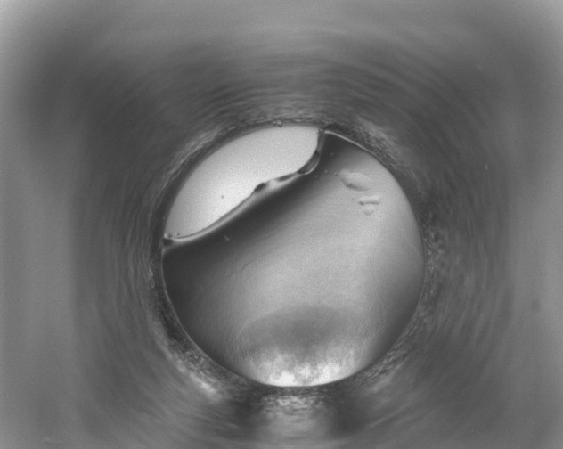 X0000061110163200511210943