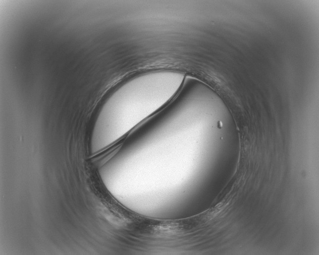 X0000061110164200511210943