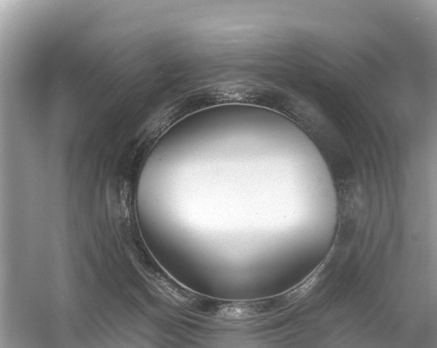 X0000061110174200511210943