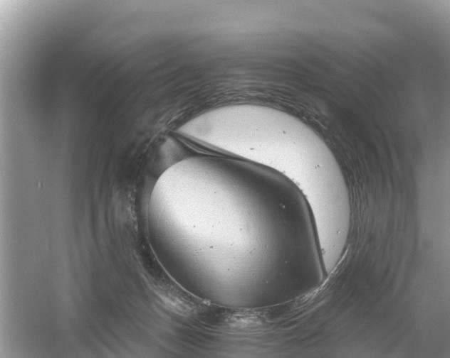 X0000061110175200511210943