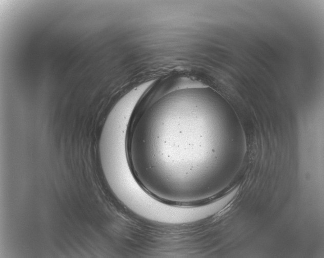 X0000061110180200511210944